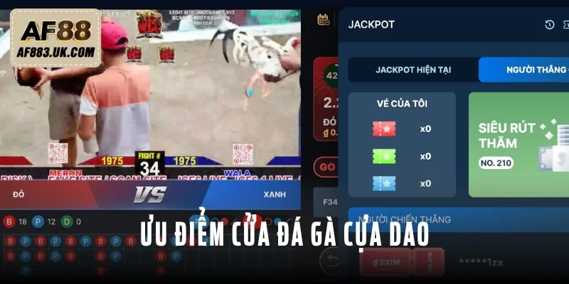 3 ưu điểm nổi trội nhất của chọi kê cựa dao 3 ưu điểm nổi trội nhất của chọi kê cựa dao