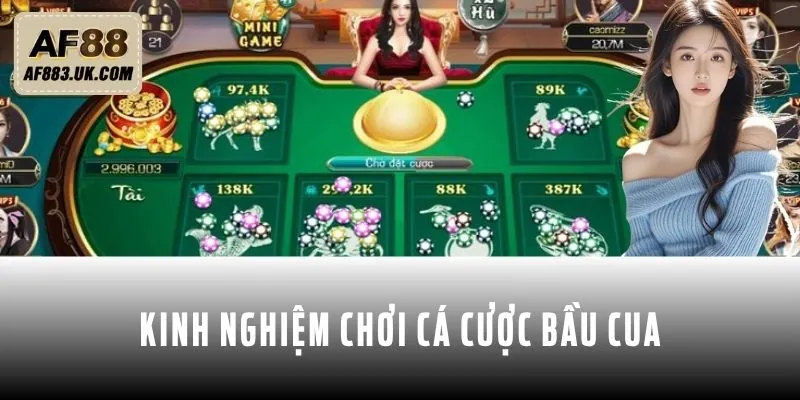 Tổng hợp vài kinh nghiệm chơi cá cược Bầu cua Tổng hợp vài kinh nghiệm chơi cá cược Bầu cua