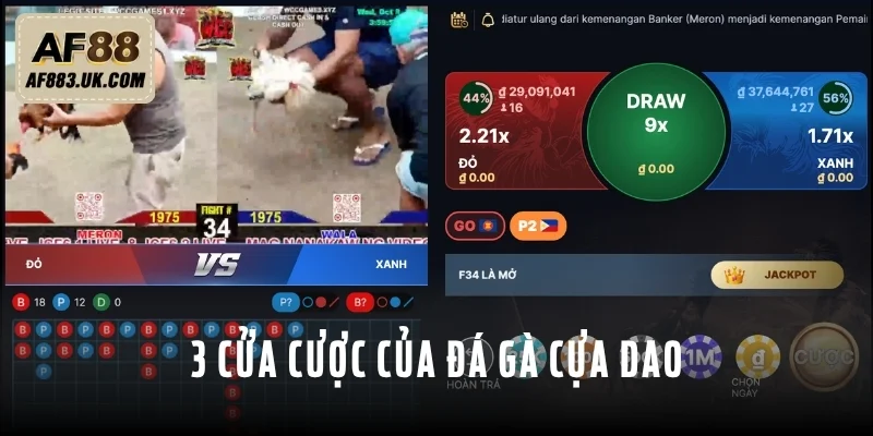 Có 3 cửa cược trong loại hình đá gà cựa dao Có 3 cửa cược trong loại hình đá gà cựa dao