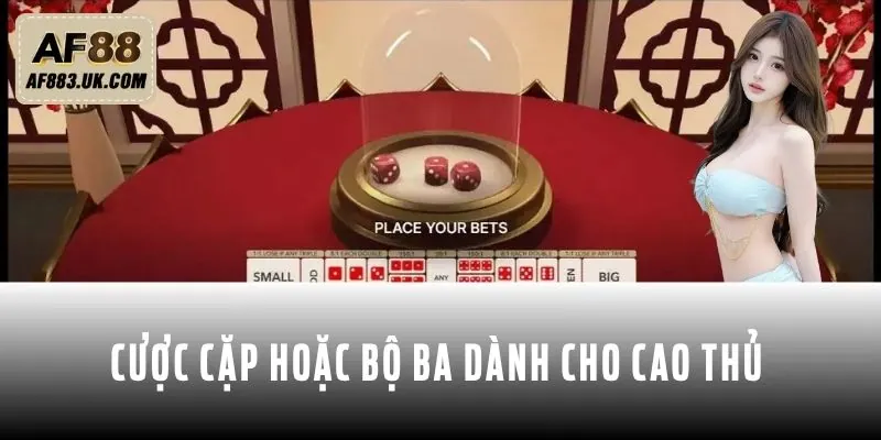 Cược cặp hoặc bộ ba dành cho cao thủ chuyên nghiệp Cược cặp hoặc bộ ba dành cho cao thủ chuyên nghiệp