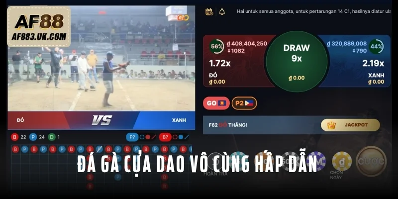 Đá gà cựa dao nhìn chung vô cùng hấp dẫn Đá gà cựa dao nhìn chung vô cùng hấp dẫn