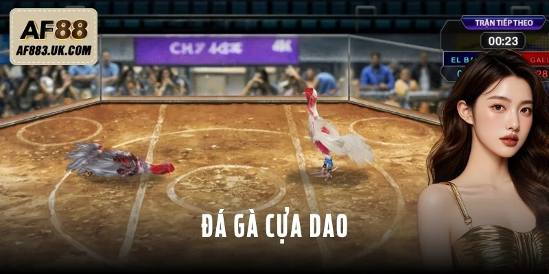 Đá Gà Cựa Dao - 3 Ưu Điểm Chinh Phục Triệu Người Chơi Đá Gà Cựa Dao - 3 Ưu Điểm Chinh Phục Triệu Người Chơi